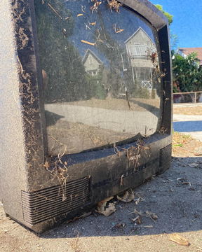An old television set left on a pavement, leaves caught in the screen